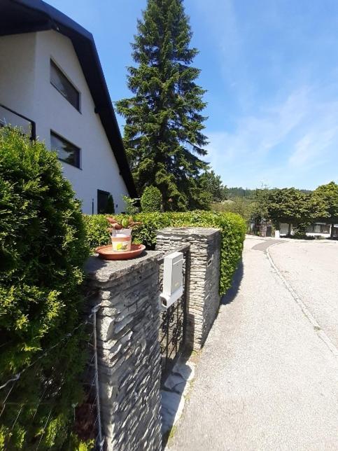 Penthouse N74 Linz 120 Qm Kids Welcome! Экстерьер фото