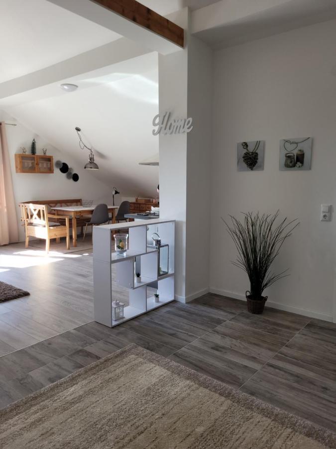 Penthouse N74 Linz 120 Qm Kids Welcome! Экстерьер фото