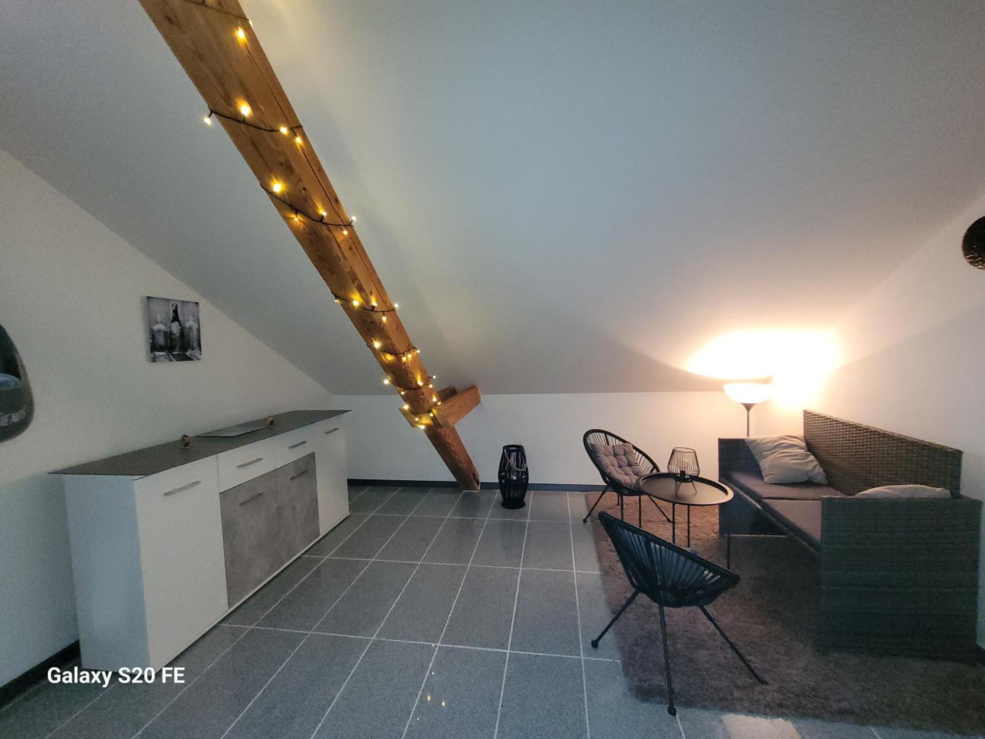 Penthouse N74 Linz 120 Qm Kids Welcome! Экстерьер фото