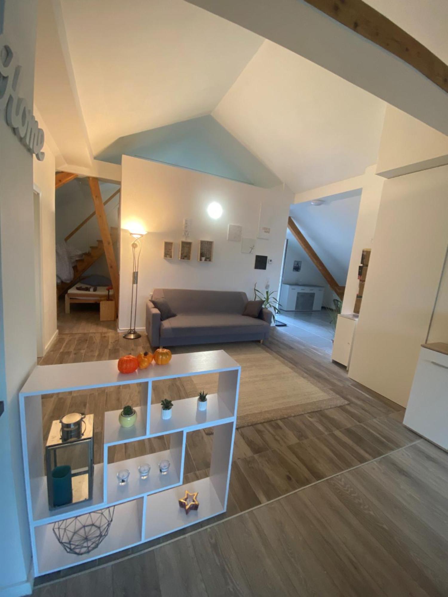 Penthouse N74 Linz 120 Qm Kids Welcome! Экстерьер фото